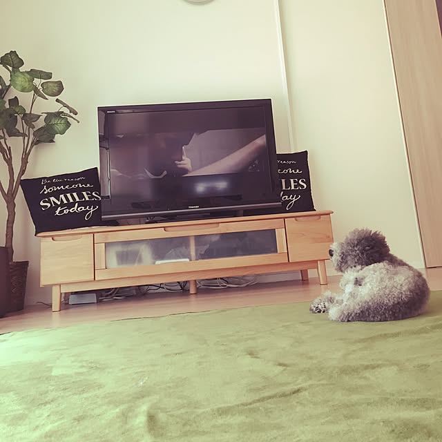 yureさんの実例写真