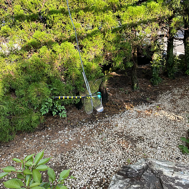 shin0719さんの実例写真