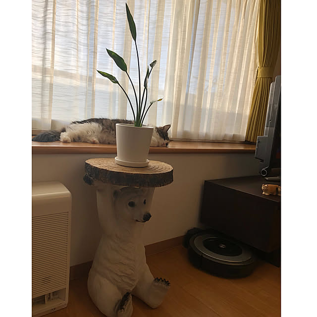 mkさんの実例写真