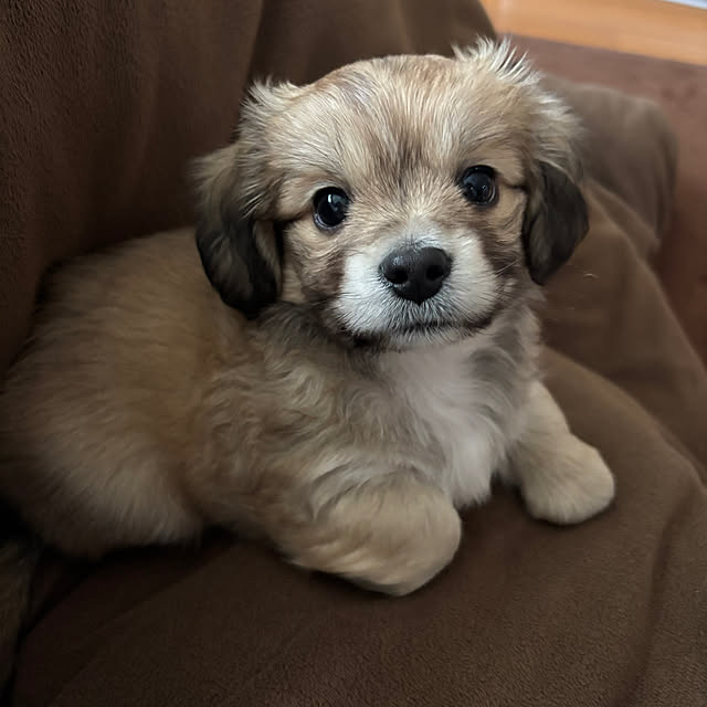 maryさんの実例写真