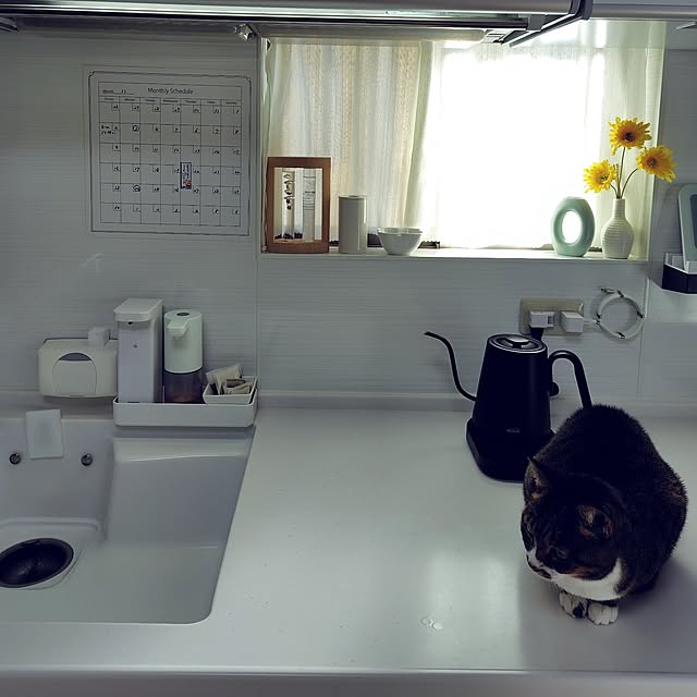 nachiさんの部屋