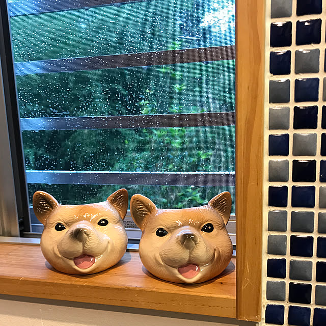 sakurasakuさんの実例写真