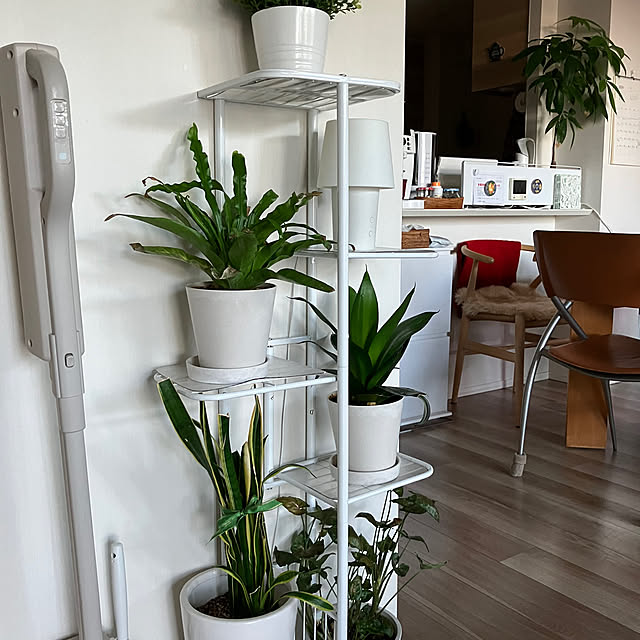 coomamさんの部屋