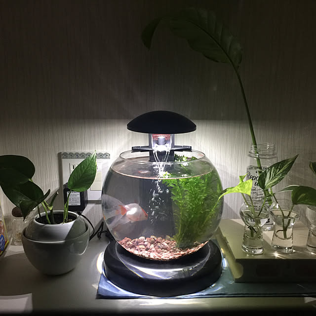napomiさんの実例写真