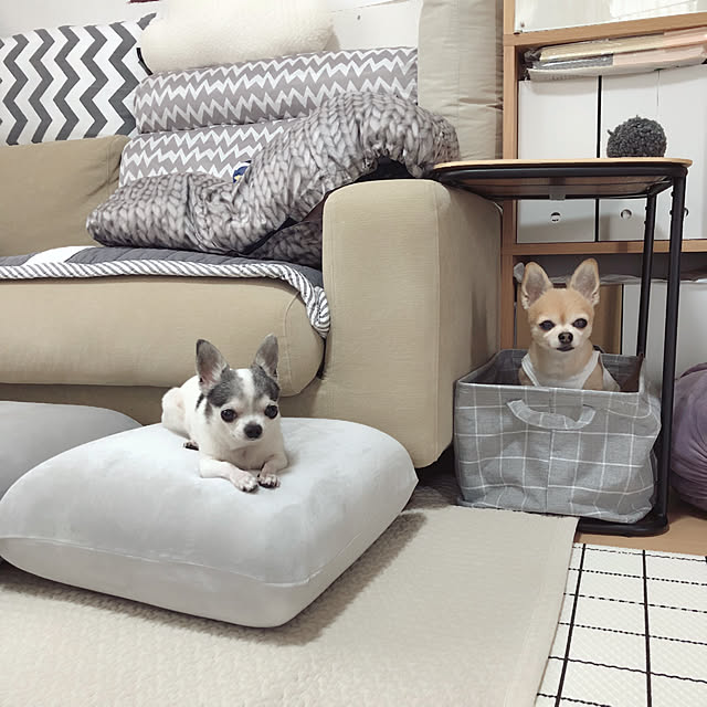 Emiさんの実例写真