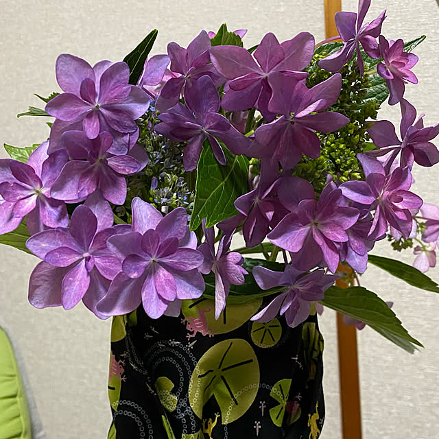 n_k6369さんの実例写真