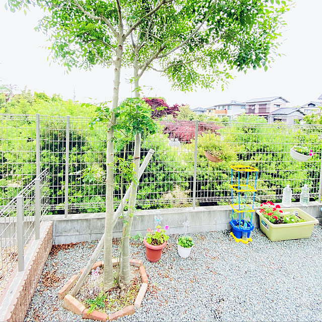 uki-uki77さんの実例写真