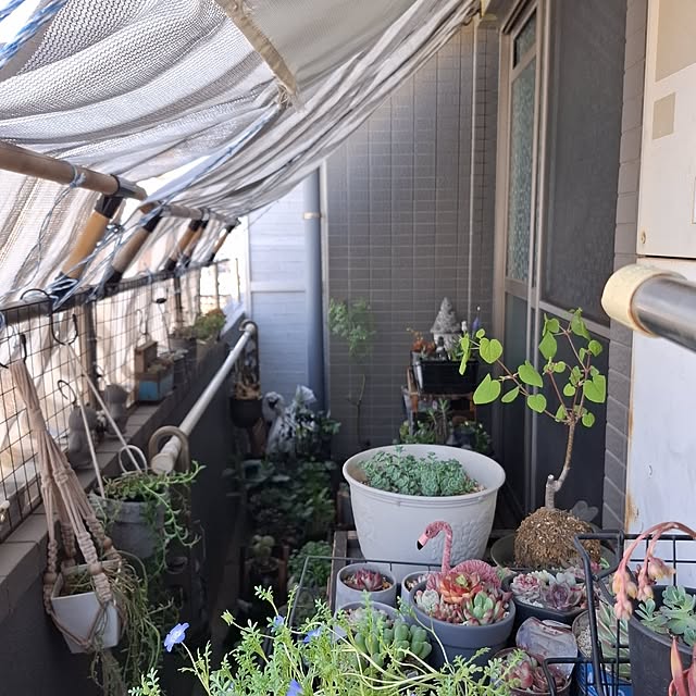 noaさんの実例写真