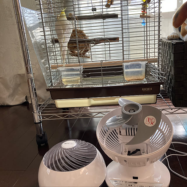 toratanさんの実例写真