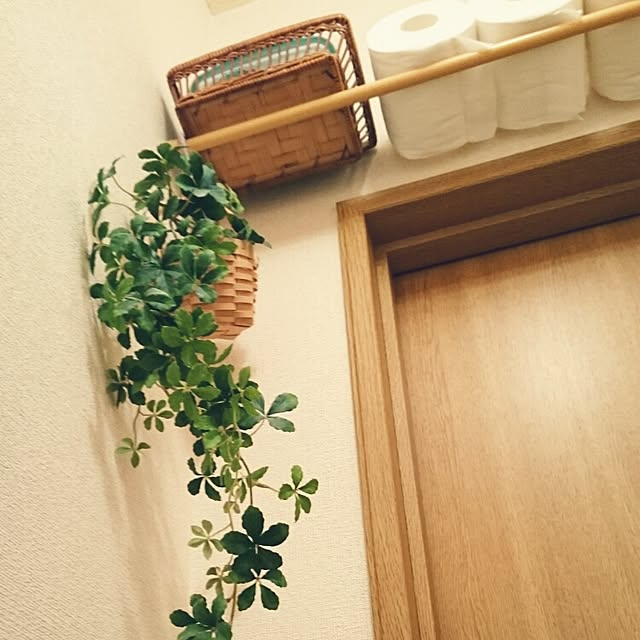 kosapppieeeさんの実例写真