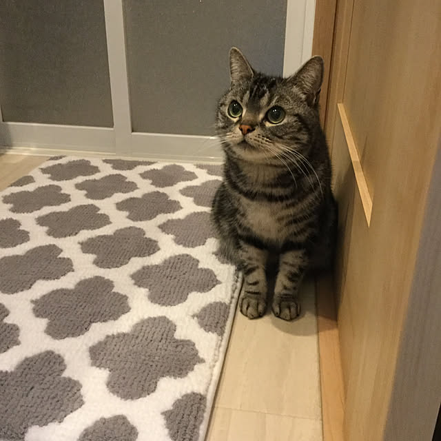 richanさんの実例写真