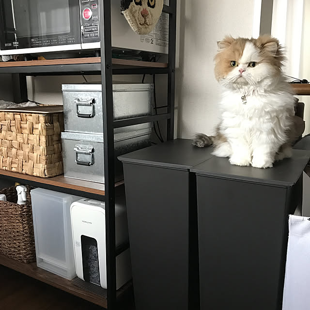 amutantanさんの実例写真