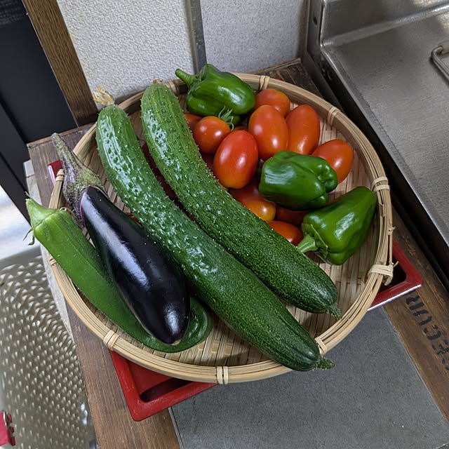 nippopoさんの実例写真