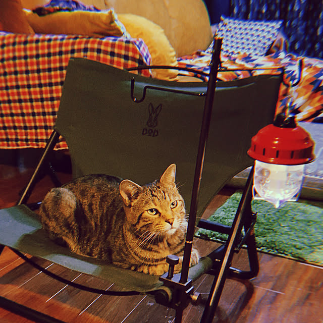tyuさんの実例写真