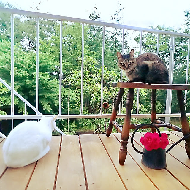 weさんの実例写真