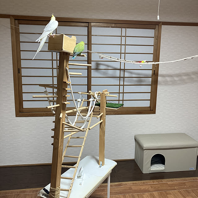 toratanさんの実例写真