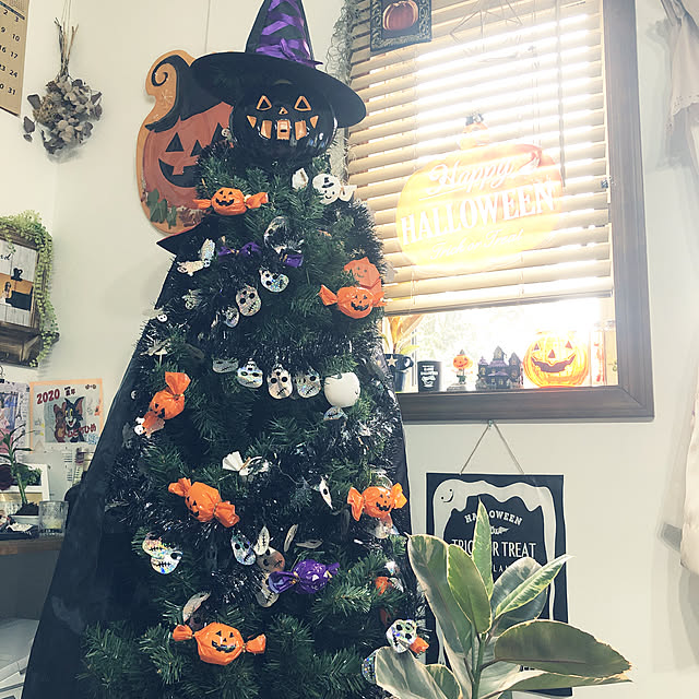 cocoaさんの実例写真