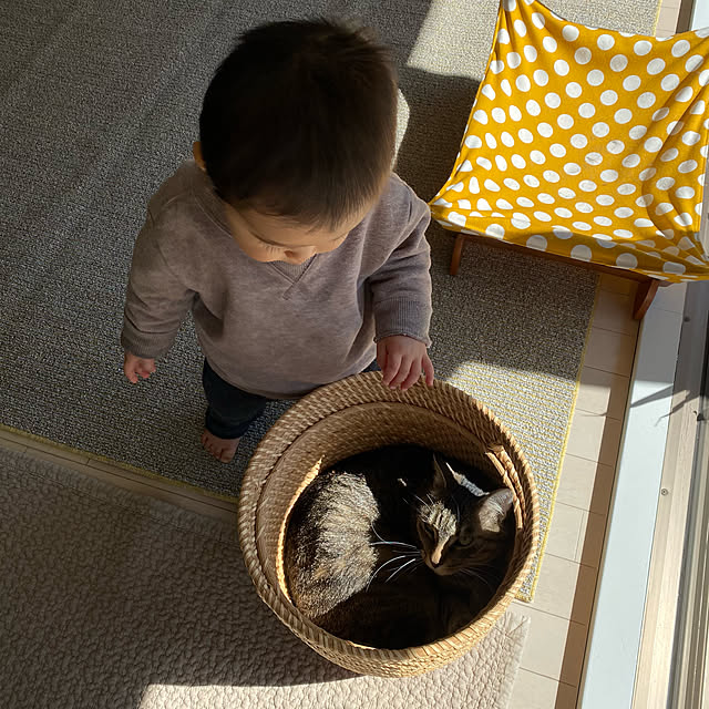 mikomaruさんの実例写真
