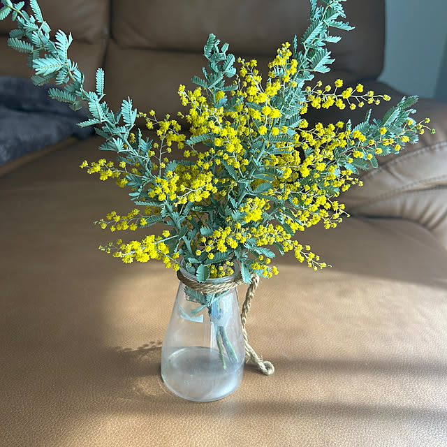 YUNYUMEさんの実例写真