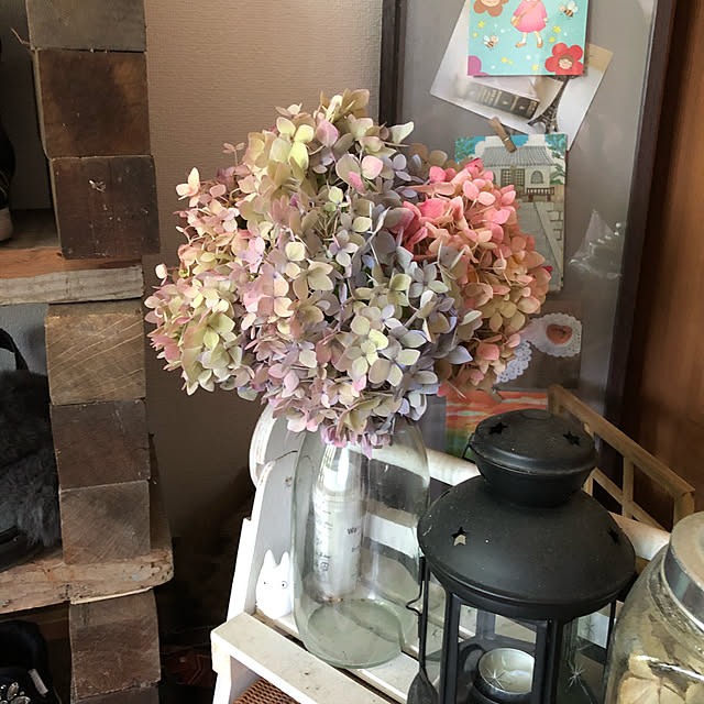 Yukiさんの実例写真