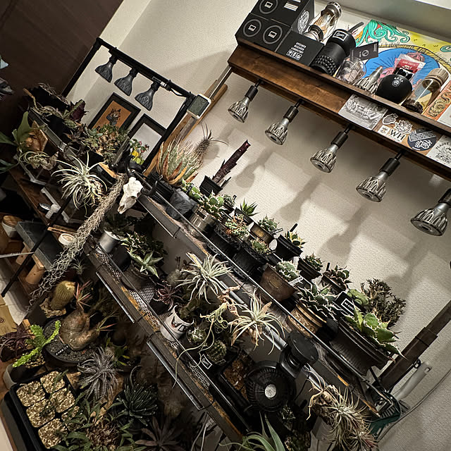 Keisukeさんの部屋
