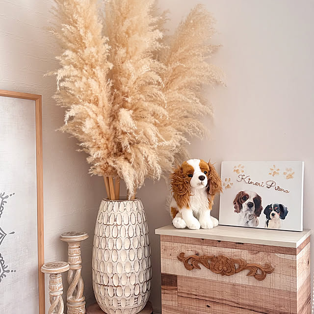 bonitaさんの実例写真