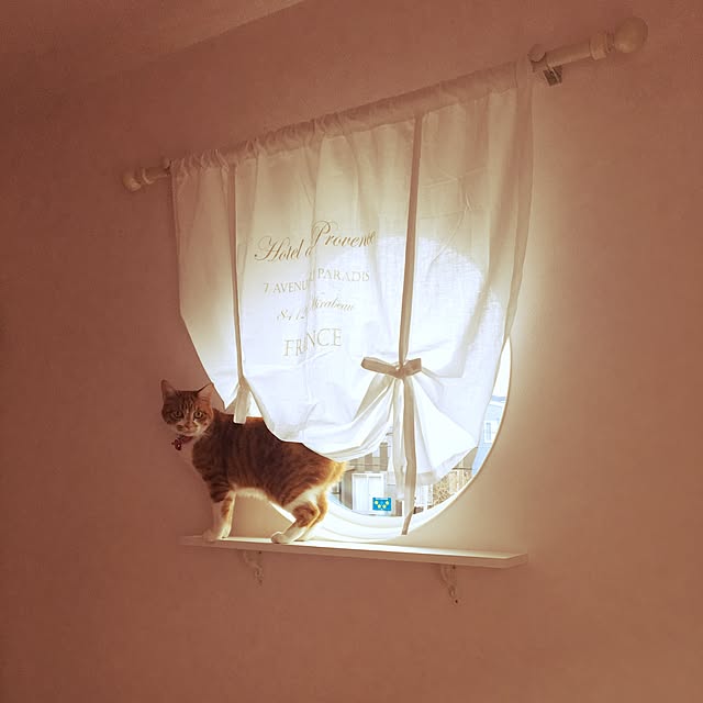 myuuさんの実例写真