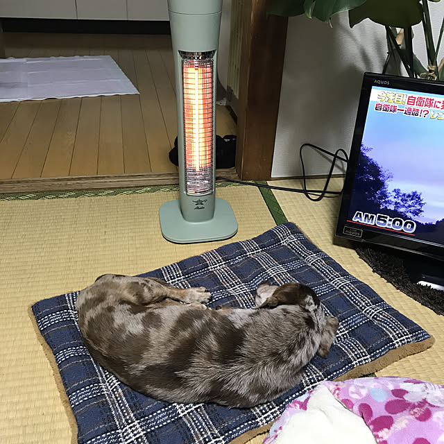 ninakiti2727さんの実例写真