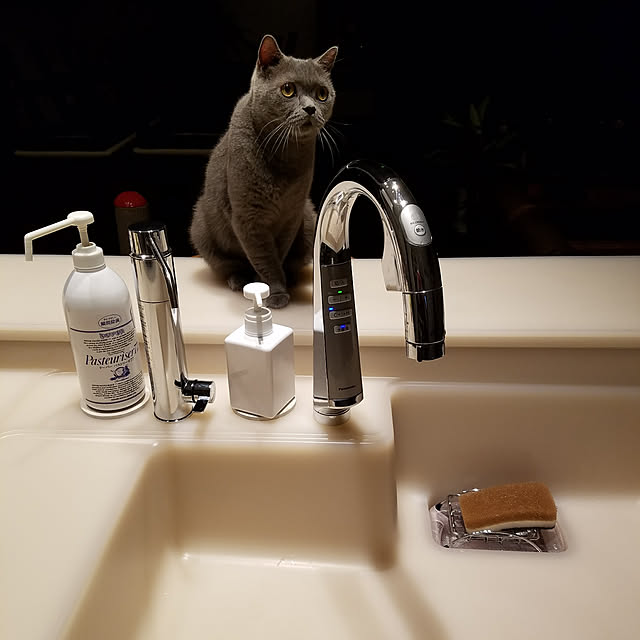 mamechiiさんの実例写真