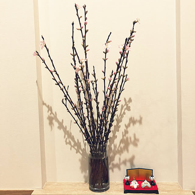 tamaさんの実例写真