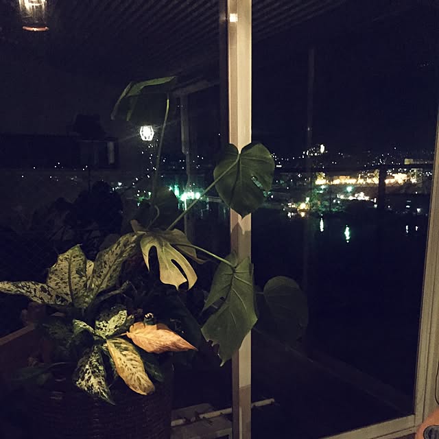 実例写真