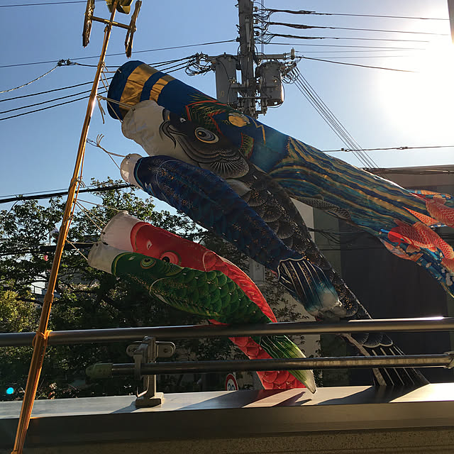 ruruntaさんの実例写真