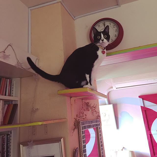 kimishigureさんの実例写真