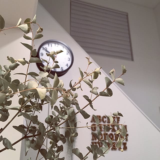 hiro.rororoさんの実例写真