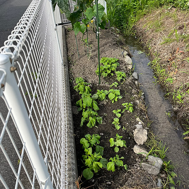 ritsukoさんの実例写真
