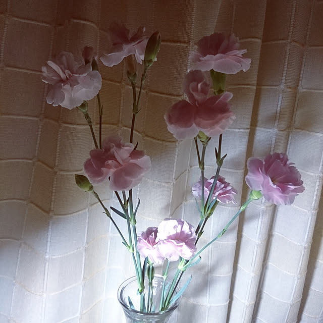 maluhiroさんの実例写真