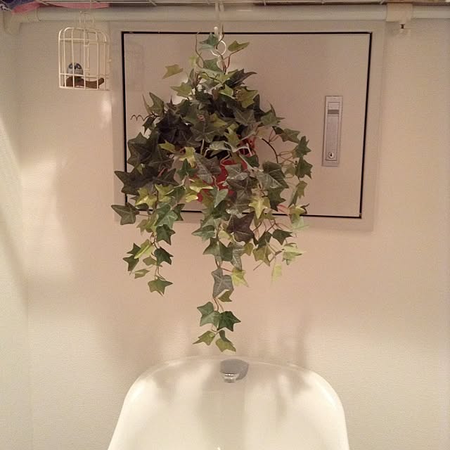 dodoさんの実例写真