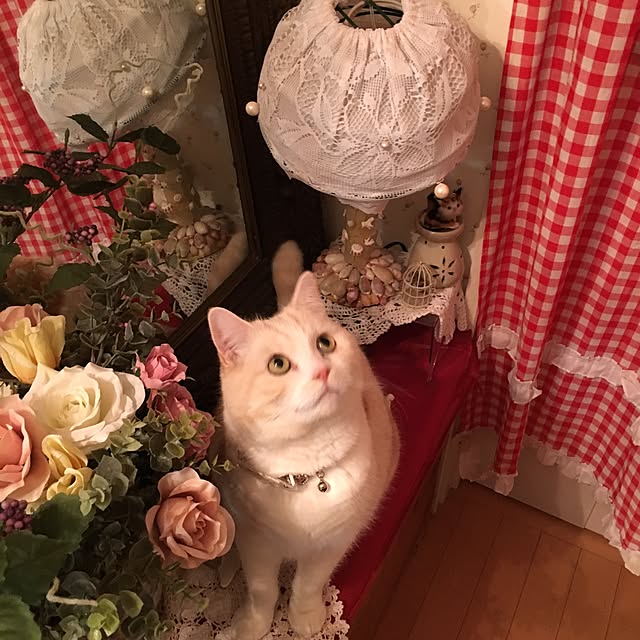 Watanabejunpilさんの実例写真