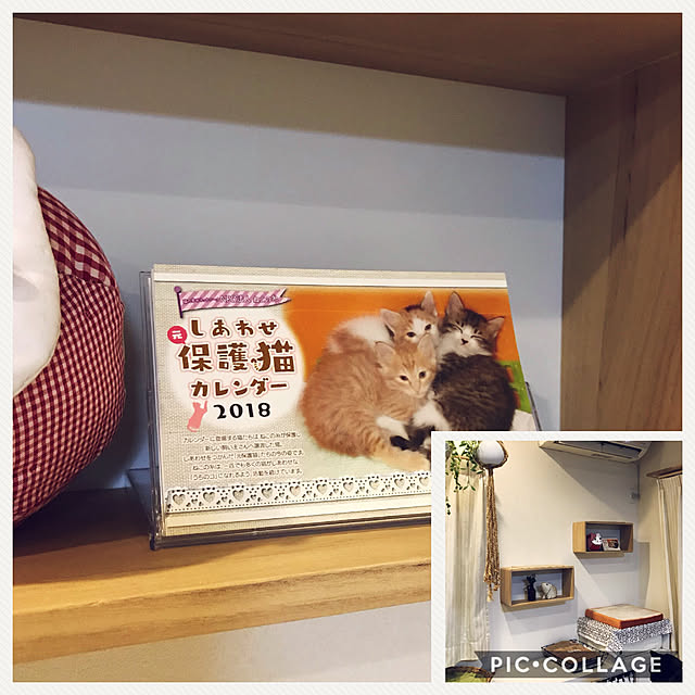yuki0511さんの実例写真