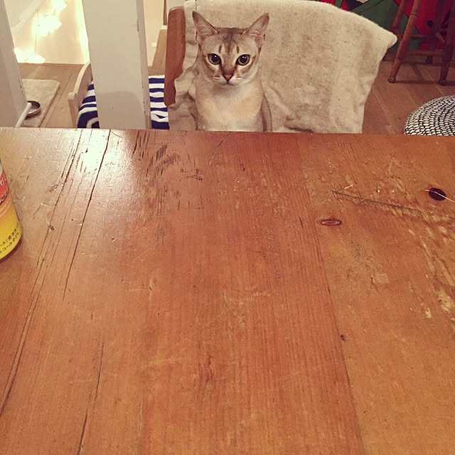 jaajjiさんの実例写真