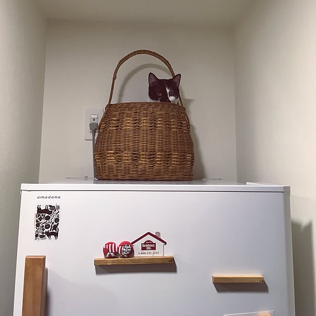 mikomaruさんの実例写真