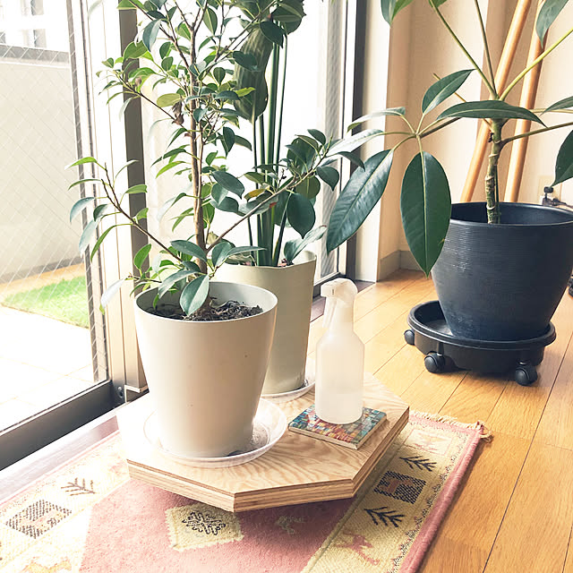 mimiz_amiさんの部屋