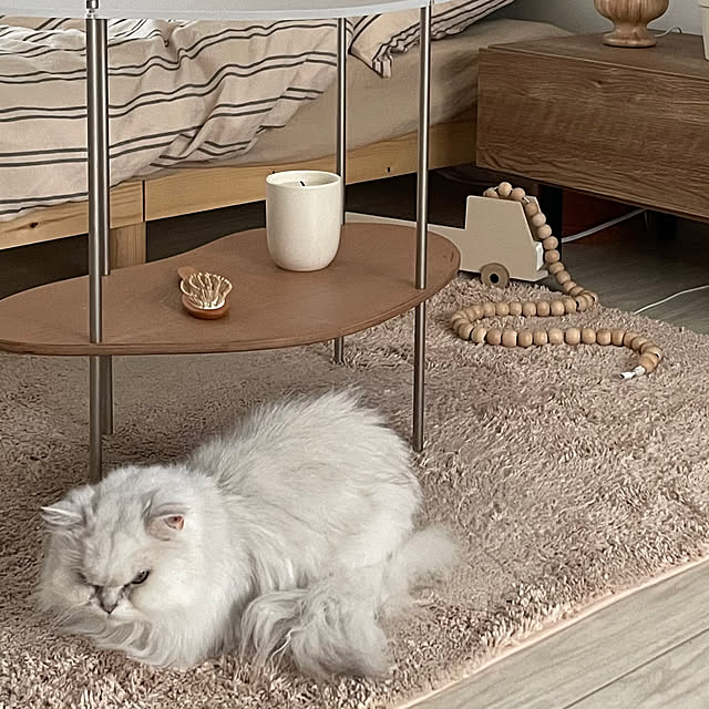 emu.さんの部屋