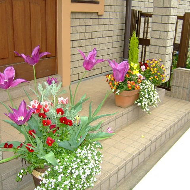 botanさんの実例写真
