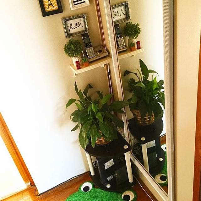 Regianeさんの実例写真