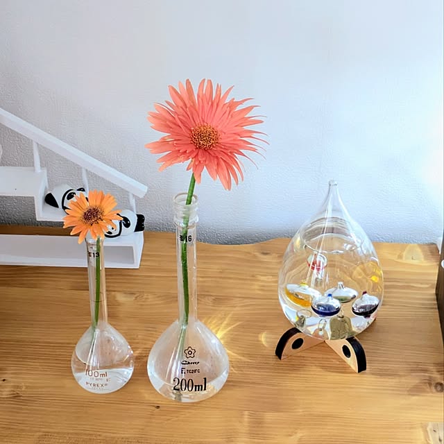 mi-saさんの部屋
