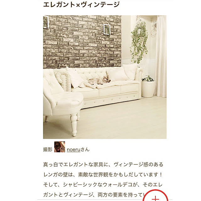 noelさんの実例写真