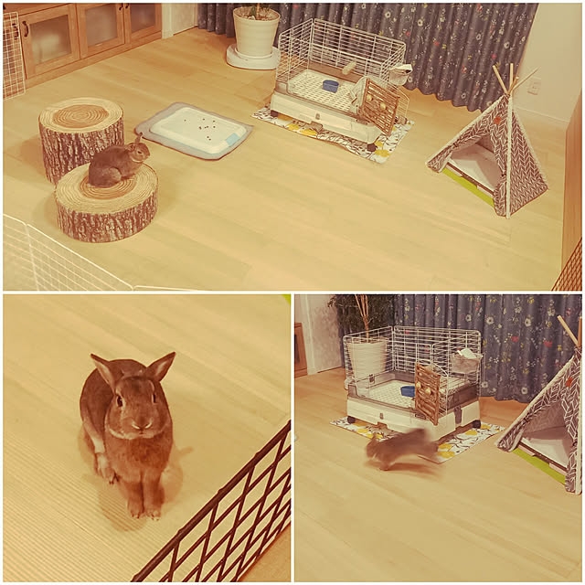 Taku38さんの実例写真