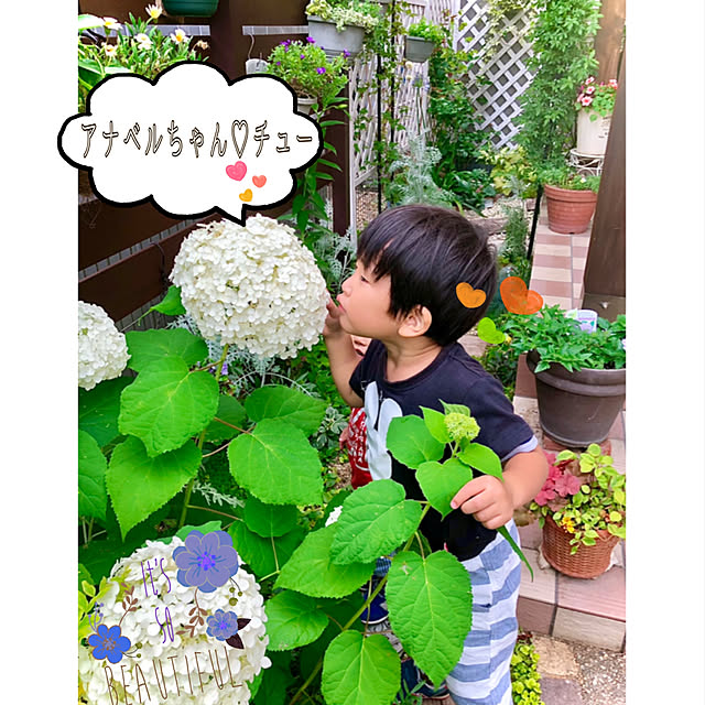 hinamamaさんの実例写真
