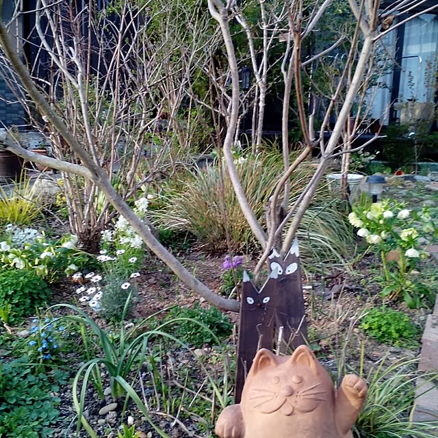 shusen.miyaさんの実例写真
